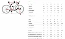 Trek Domane SL 6 ETap Gen 4 Crimson -Vélos Soldes Boutique Domane SL Gen 4 kleinAIGpJRyhyjOnt