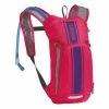 Sac CamelBak Mini M.U.L.E 1.5L Rose/Violet